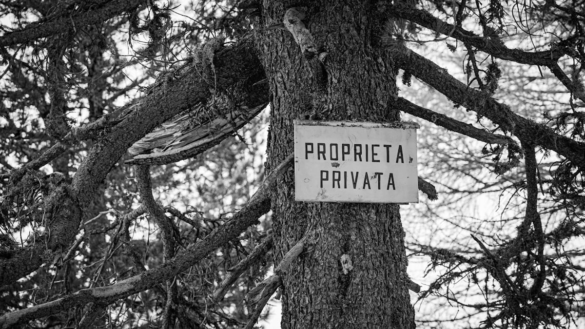Sveika mityba: pagrindiniai principai